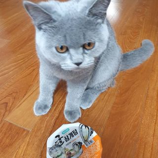 마린님이 올린 리뷰 사진 2