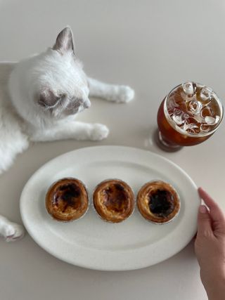 디앙뜨 포르투갈 에그타르트 오리지널 맛+패션후르츠+초콜릿타르트 맛 중 택1 — 5점을 준 리뷰어가 2021년 7월 올린 사용 사진