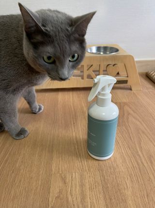 누맘누맘님이 올린 리뷰 사진 2