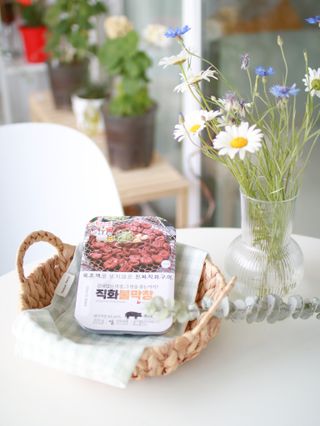 수수양님이 올린 리뷰 사진 3