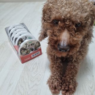 김다람쥐님이 올린 리뷰 사진 4
