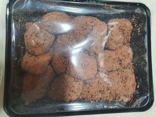 릴리님이 올린 리뷰 사진 2