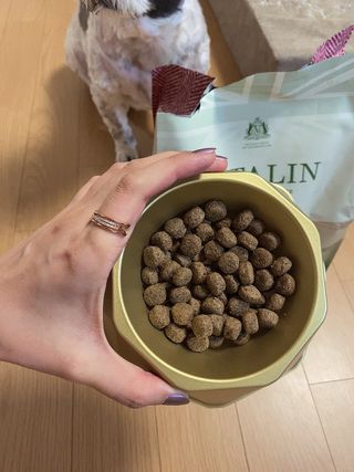 영국 바이탈린 강아지 애견사료 2kg — 4점을 준 리뷰어가 2021년 6월 올린 사용 사진