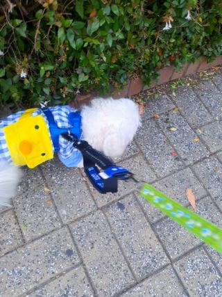 미진냥님이 올린 리뷰 사진 1