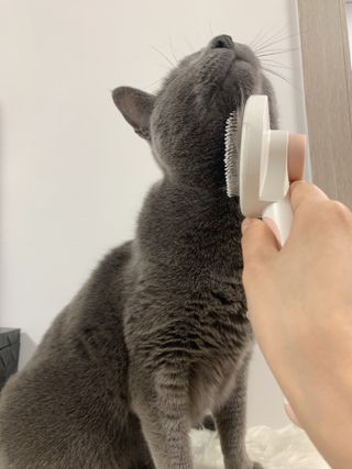 어린이님이 올린 리뷰 사진 3