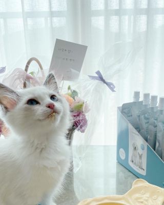ccoyo님이 올린 리뷰 사진 2