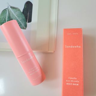 스킨큐어 산다화 카멜리아 안티 링클 멀티밤 — 5점을 준 리뷰어가 2022년 12월 올린 사용 사진