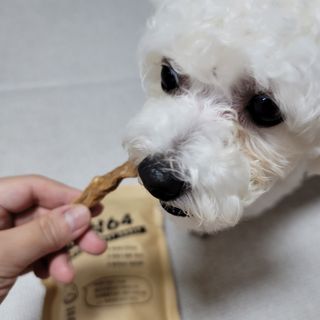 [보헤리] 국내산 강아지 육포간식 바삭 64 2종 — 5점을 준 리뷰어가 2022년 4월 올린 사용 사진