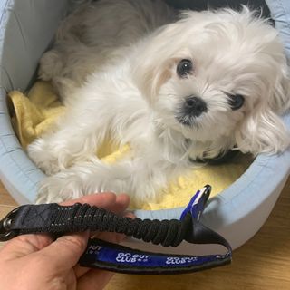 파라오겅쭈님이 올린 리뷰 사진 1