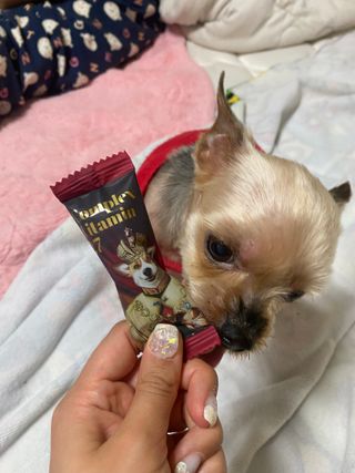 민홀리님이 올린 리뷰 사진 2