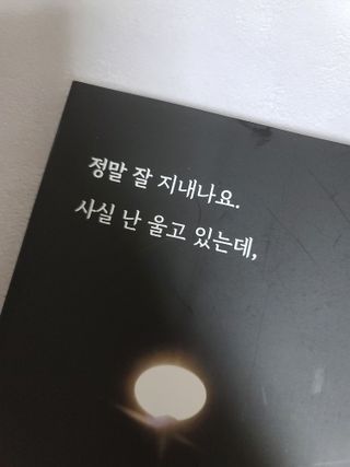 가을봉숙 정말잘지내나요사실난울고있는데 — 5점을 준 리뷰어가 2022년 6월 올린 사용 사진