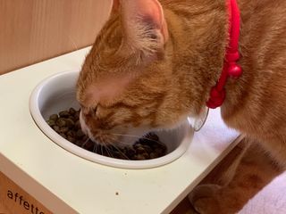오잉님이 올린 리뷰 사진 2
