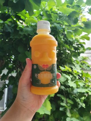 탐라원 제주의 맛, 몬딱주스 4종세트 - 한라봉몬딱주스, 천혜향몬딱주스, 청귤에이드, 당근몬딱주스 — 5점을 준 리뷰어가 2021년 8월 올린 사용 사진