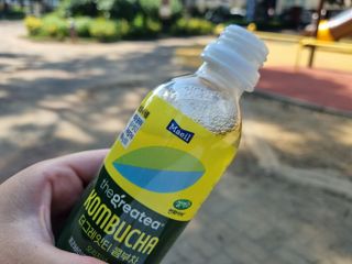 더그레잇티 콤부차 [매일유업] 더그레잇티 44kcal 콤부차 300ml *12개입 (오리지널 6개+베리리치 6개) — 5점을 준 리뷰어가 2023년 8월 올린 사용 사진