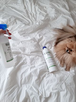 아롱이님이 올린 리뷰 사진 2