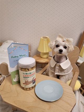 [펫시밀] 원물그대로 영양듬뿍 진공동결건조 북어트릿75g,치킨트릿100g,연어트릿75g 강아지 고양이 간식 — 5점을 준 리뷰어가 2023년 5월 올린 사용 사진