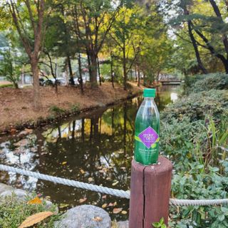 몽베스트 Montbest with Sparkling water Lime20병 — 5점을 준 리뷰어가 2022년 10월 올린 사용 사진