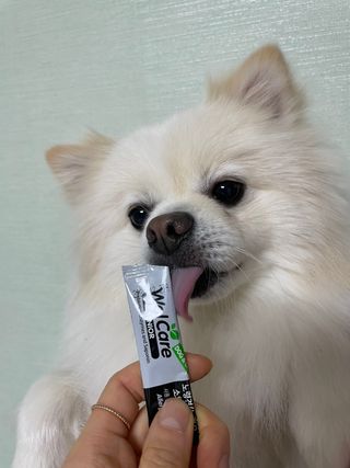 이예령님이 올린 리뷰 사진 1