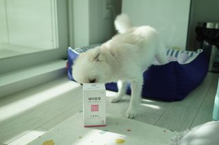 소보이님이 올린 리뷰 사진 1