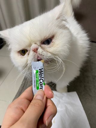 김푸딩님님이 올린 리뷰 사진 3
