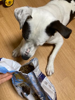 조말루님이 올린 리뷰 사진 2