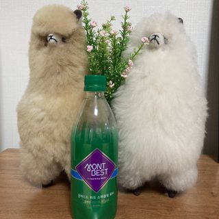 몽베스트 Montbest with Sparkling water Plain 20병 — 5점을 준 리뷰어가 2021년 10월 올린 사용 사진