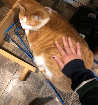 쏘뜬님이 올린 리뷰 사진 3