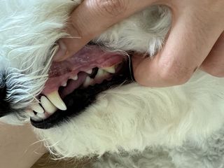 정민트님이 올린 리뷰 사진 2