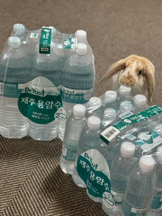 유지니엘님이 올린 리뷰 사진 1