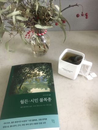 케이트25님이 올린 리뷰 사진 1