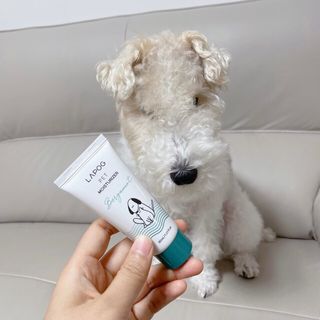솜솜이2님이 올린 리뷰 사진 4