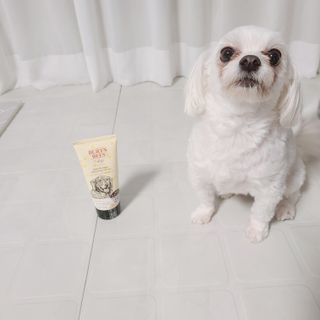 여니혀기님이 올린 리뷰 사진 1