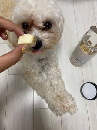 칸쵸님이 올린 리뷰 사진 1