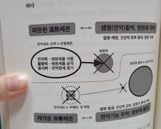 온열체온화요법 온열체온화 요법(Thermotherapy for Anti-Cancer) — 5점을 준 리뷰어가 2022년 10월 올린 사용 사진