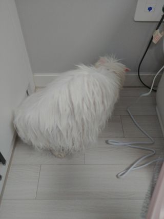 하루님이 올린 리뷰 사진 2