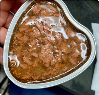 비타크래프트 조에시 하트캔 85g 강아지 습식캔 10캔 — 5점을 준 리뷰어가 2021년 7월 올린 사용 사진