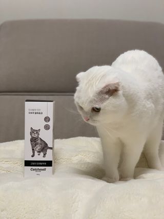 lala1234님이 올린 리뷰 사진 3