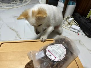 멍뭉님이 올린 리뷰 사진 4