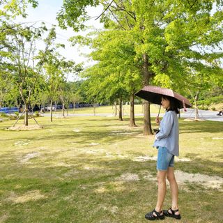 꼬빌님이 올린 리뷰 사진 1