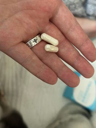 [지셀라] 프로바이오틱스 100억 유산균 보장 (1개월분 / 350mg X 30캡슐) — 4.5점을 준 리뷰어가 2023년 9월 올린 사용 사진