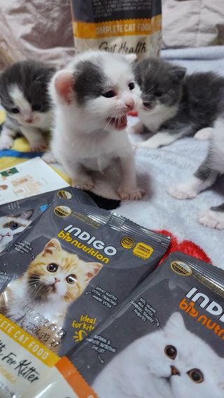 홍블리님이 올린 리뷰 사진 3
