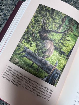 라기라기님이 올린 리뷰 사진 2