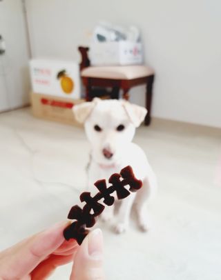 둥이님이 올린 리뷰 사진 2
