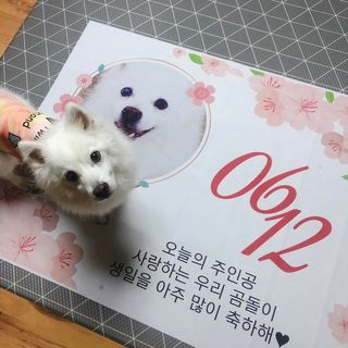 곰까님이 올린 리뷰 사진 4