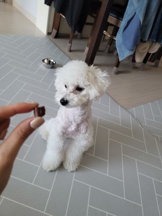 이진선님이 올린 리뷰 사진 3