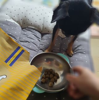 푸둘님이 올린 리뷰 사진 4