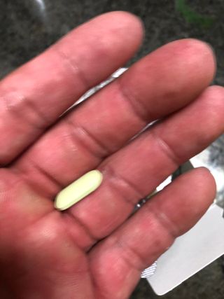 클린24시간 지중해로 쏙빠지다 1SET (800mg*60정) — 5점을 준 리뷰어가 2023년 6월 올린 사용 사진