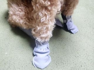란아님이 올린 리뷰 사진 2