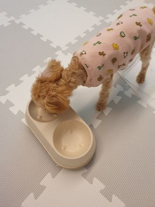 효효님이 올린 리뷰 사진 1