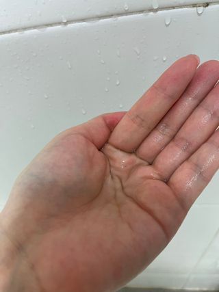 꿀님이 올린 리뷰 사진 2